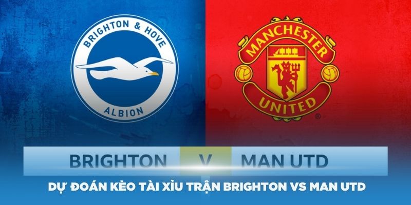 Brighton vs Man UTD