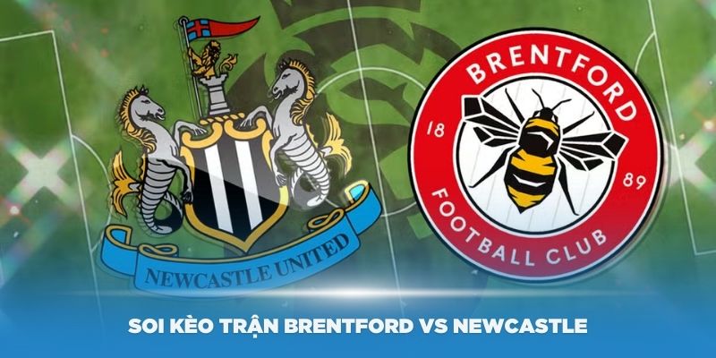 Brentford vs Newcastle