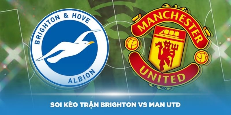 Phân tích và dự đoán kèo tài xỉu trận Brighton vs Man UTD