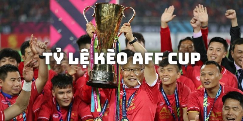 Khái quát thông tin giải bóng đá châu Á AFF Cup